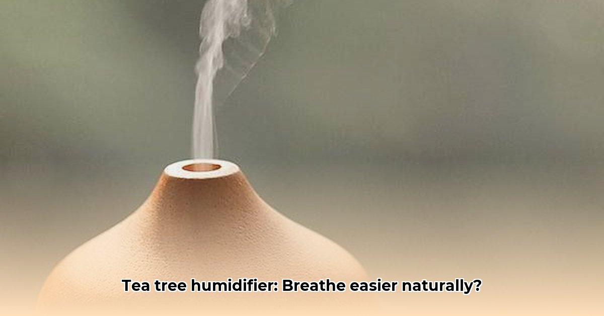the-benefits-of-humidifier-with-tea-trea-oil